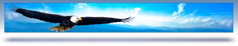 careers graphic header - soaring bald eagle