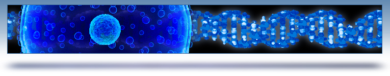 about us graphic header - DNA molecule strand