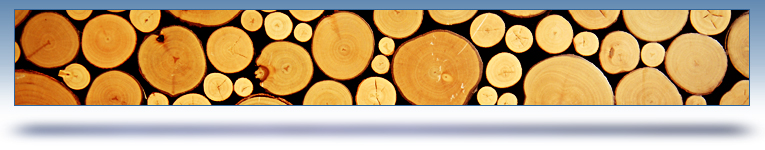 list services graphic header - different size wood logs